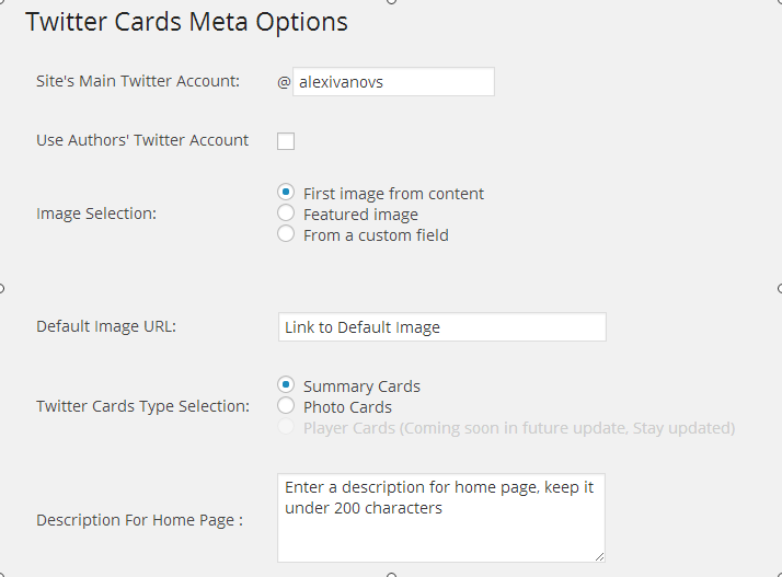 Twitter Cards Meta Options