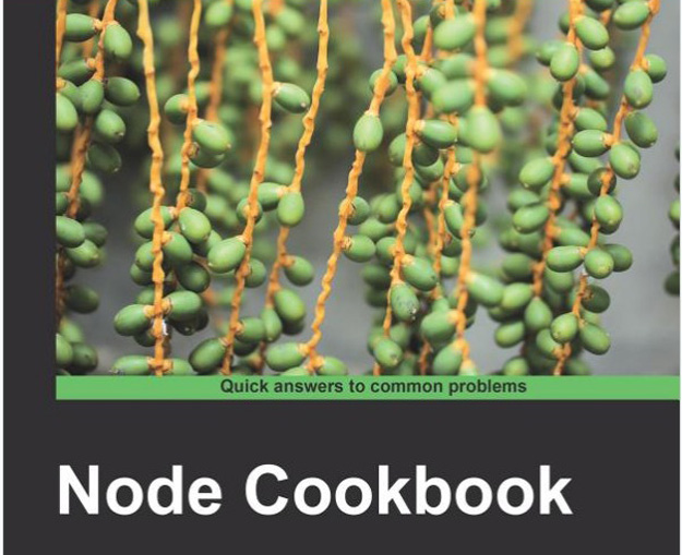 node cook book