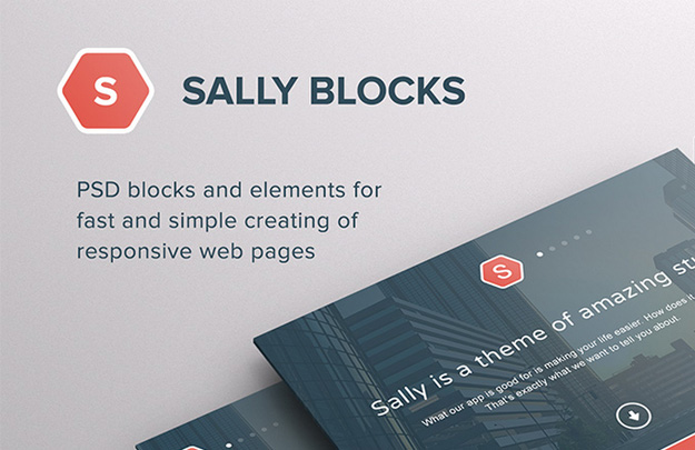sally-blocks