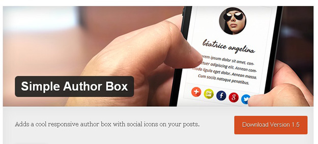 simple authorbox - Top 15 WordPress Plugins for September 2014