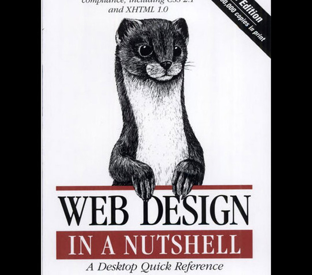 web design in netshell