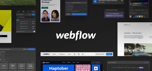 web development projects with webflow