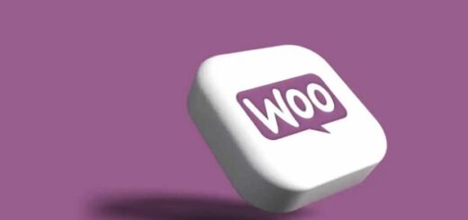 choosing woocommerce themes