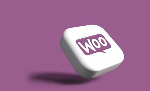 choosing woocommerce themes