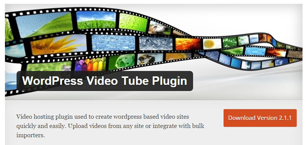 wordpress video tube plugin