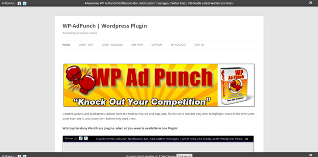 wp ad punch
