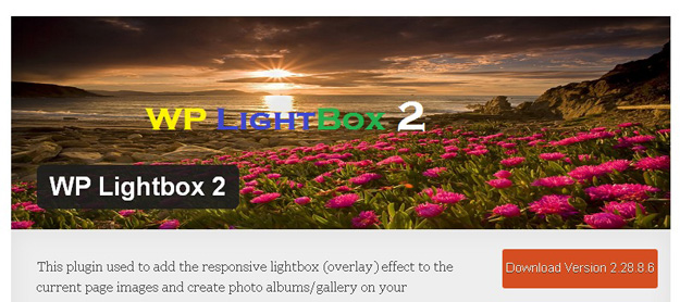 wp light box 2