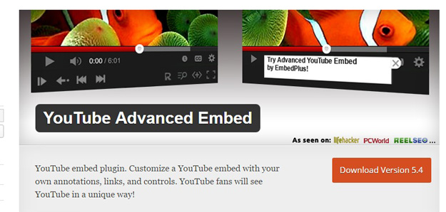 youtube advanced embed